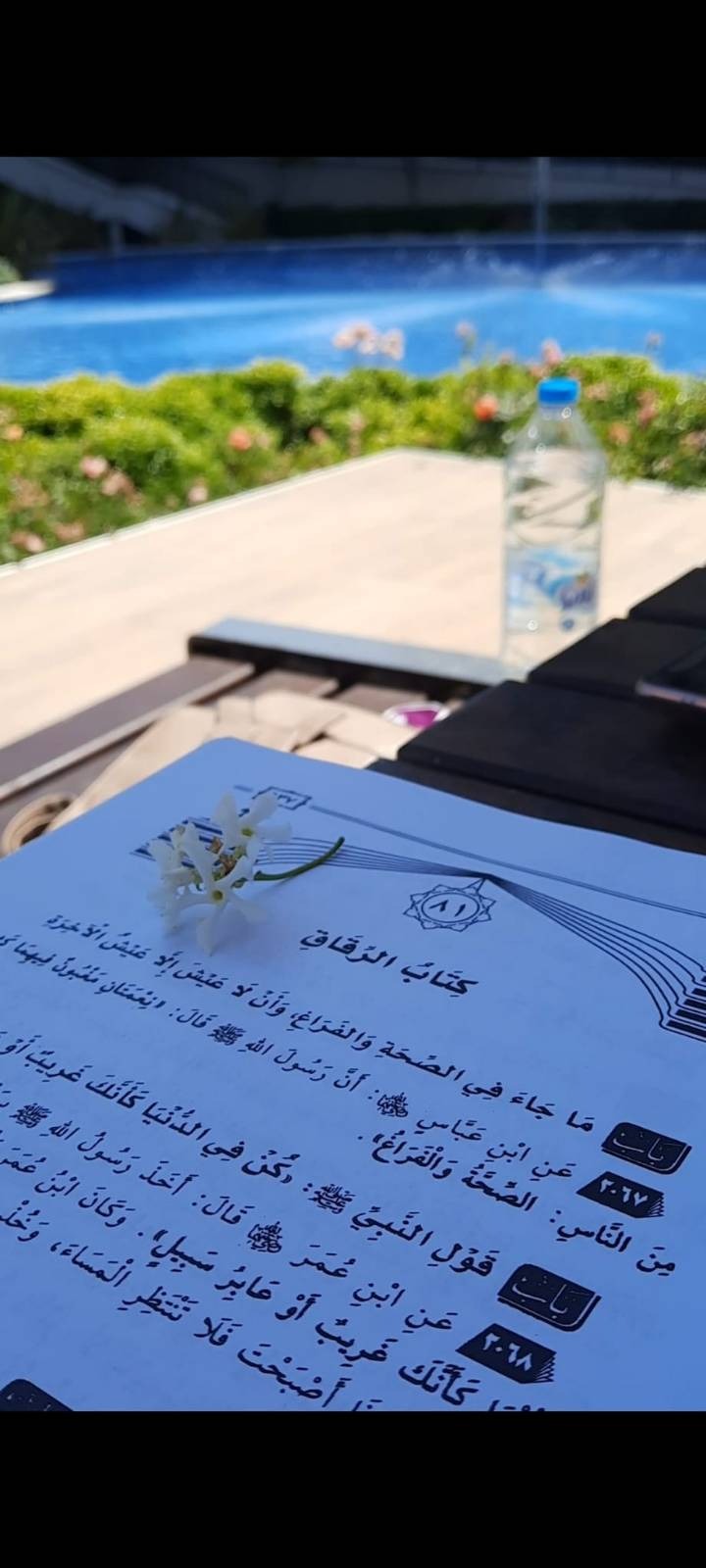 مشروع :نبراس