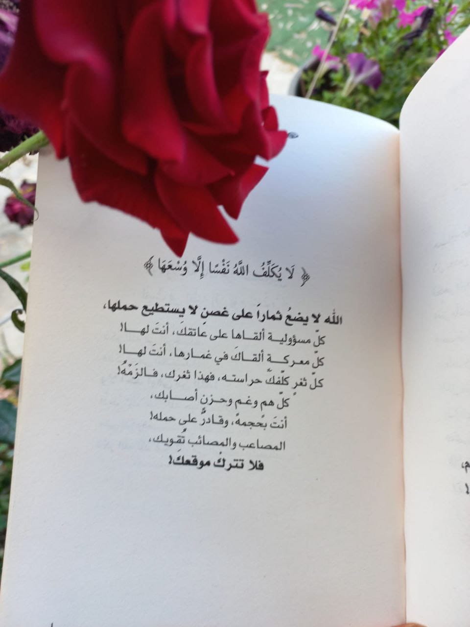 مشروع :أفياء القراءة