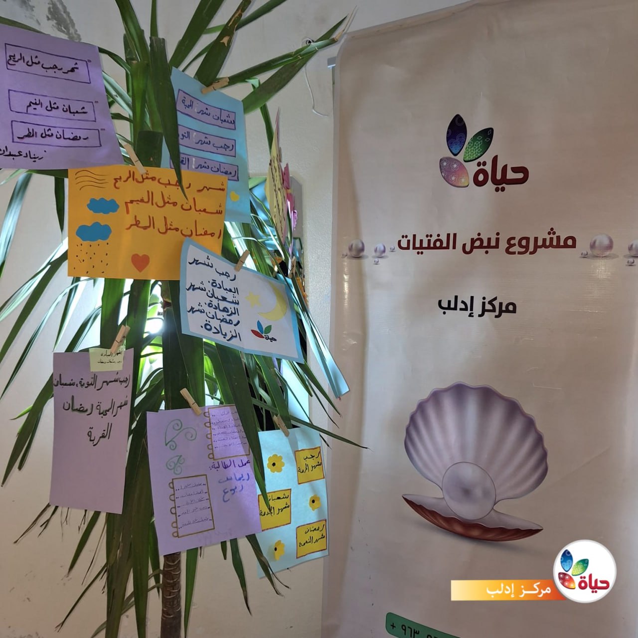 مشروع :نبض الفتيات مشروع :نبض الفتيات